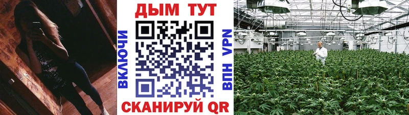 Бошки Шишки THC 21%  продажа наркотиков  Туймазы 